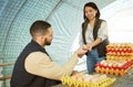 Egg farmer, food and couple at chicken farm checking health, production or growth of eggs. Poultry agriculture Royalty Free Stock Photo