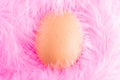 Egg on feathers, macro. Baby Shower girl concept with egg and pink feathers. Concept for birthday, Easter, baby newborn