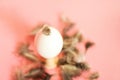 Egg and feathers on a pink background closeup and copy space. Easter concept with cracked egg and feathers Royalty Free Stock Photo