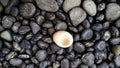 An egg without filling on a dark colar stone