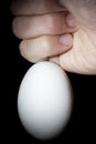 Egg and fist Royalty Free Stock Photo