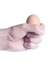 Egg in fist. Concept of fragility Royalty Free Stock Photo