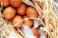 Egg. Fresh farm eggs on a wooden rustic background. Royalty Free Stock Photo