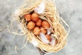 Egg. Fresh farm eggs on a wooden rustic background. Royalty Free Stock Photo