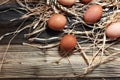 Egg. Fresh farm eggs on a wooden rustic background Royalty Free Stock Photo