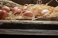 Egg. Fresh farm eggs on a wooden rustic background Royalty Free Stock Photo