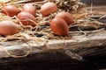 Egg. Fresh farm eggs on a wooden rustic background Royalty Free Stock Photo