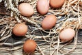 Egg. Fresh farm eggs on a wooden rustic background Royalty Free Stock Photo