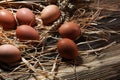 Egg. Fresh farm eggs on a wooden rustic background Royalty Free Stock Photo