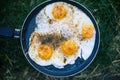 Egg in the frying pan. Royalty Free Stock Photo