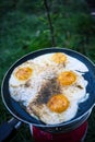 Egg in the frying pan. Royalty Free Stock Photo