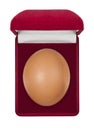 Egg in gift box