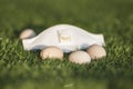 Egg on the grass as a symbol of Easter and face mask Royalty Free Stock Photo