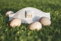 Egg on the grass as a symbol of Easter and face mask Royalty Free Stock Photo