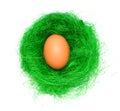 Egg in the green nest Royalty Free Stock Photo