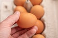 Egg on hand and eggs background for cooking soft focus Royalty Free Stock Photo