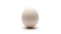 The egg has a smooth slightly speckled surface with subtle brown spots Royalty Free Stock Photo