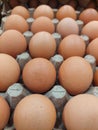 The egg has a variety of basic nutritional concentrations that contain calories, saturated fats, cholesterol and sodium.
