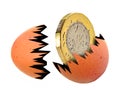 Egg hatchling gold pound coin born hatched money cash nest