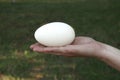 Egg in her hand Royalty Free Stock Photo