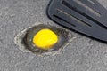 Egg on hot road surface beginning to fry