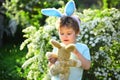 Egg hunt on spring holiday. Rabbit kid with bunny ears. Hare toy. Little boy child in green forest. love easter. Family Royalty Free Stock Photo