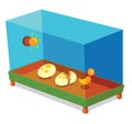 Egg incubator