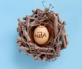 Egg with inscription EASTER in a nest over light blue background Royalty Free Stock Photo