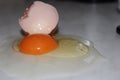 egg, inspirational photography, chicken, my most beautiful photos