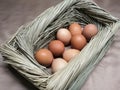 Egg installation Royalty Free Stock Photo