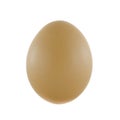 Egg isolated on white background Royalty Free Stock Photo