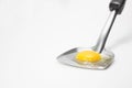 Egg and ladle Royalty Free Stock Photo