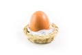 Egg in a little basket Royalty Free Stock Photo