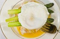 Egg Lobster Oscar with Taragon and asparagus Royalty Free Stock Photo