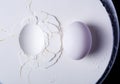 An egg lying on white plaster or starch. Cracks and surface texture. The texture of white gypsum with a microrelief of