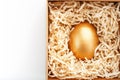 Egg made of gold in a wooden box on a white background. The concept of exclusivity and superprize. Minimalistic composition Royalty Free Stock Photo