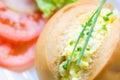 Egg mayonnaise in bread roll Royalty Free Stock Photo