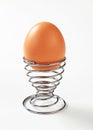 Egg in modern spiral metal egg cup Royalty Free Stock Photo