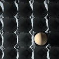 Egg in molded pulp egg tray Royalty Free Stock Photo