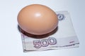 Egg and money Royalty Free Stock Photo