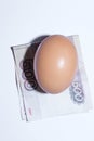 Egg and money Royalty Free Stock Photo