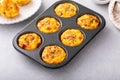 Egg muffins with bacon and cheddar, egg bites for breakfast Royalty Free Stock Photo