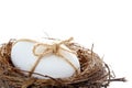 Egg in a nest for Easter Royalty Free Stock Photo