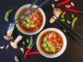 Egg noodle or ramen with soysauce soup. Royalty Free Stock Photo