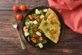 Egg omelette with cherry tomato, mozzarella and green salad. Wooden table with copy space