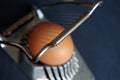 Egg Royalty Free Stock Photo