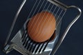 Egg Royalty Free Stock Photo