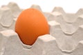 Egg Royalty Free Stock Photo