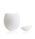Egg Royalty Free Stock Photo