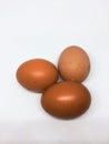 chicken eggs on a white background